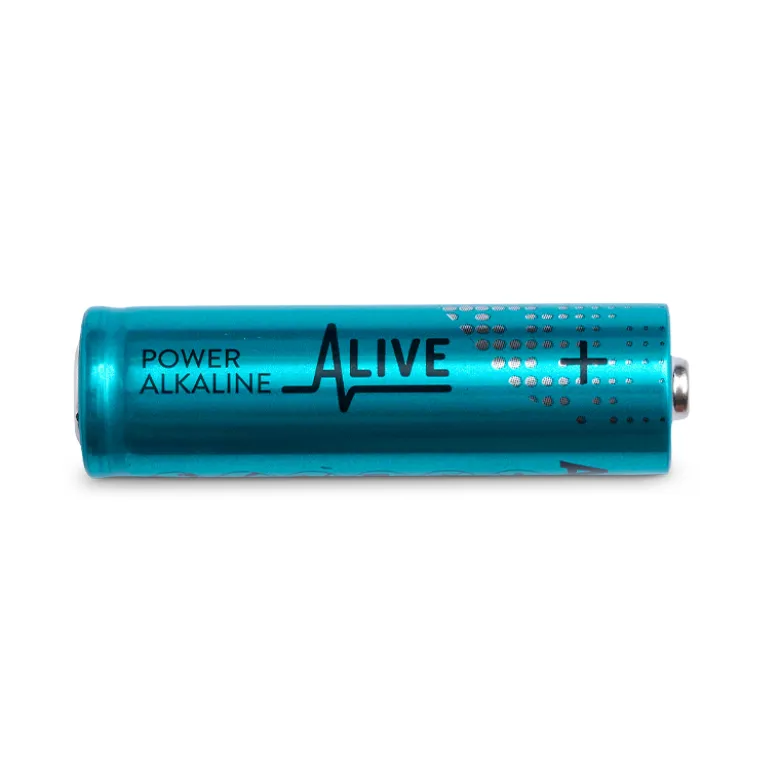 AA-batterier 10 stk. 1,5 V