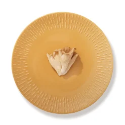 Aida LIFE IN COLOUR Confetti middagstallerken mustard Ø 27,5 cm