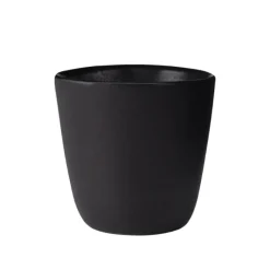 Aida RAW Titanium Black krus 30 cl