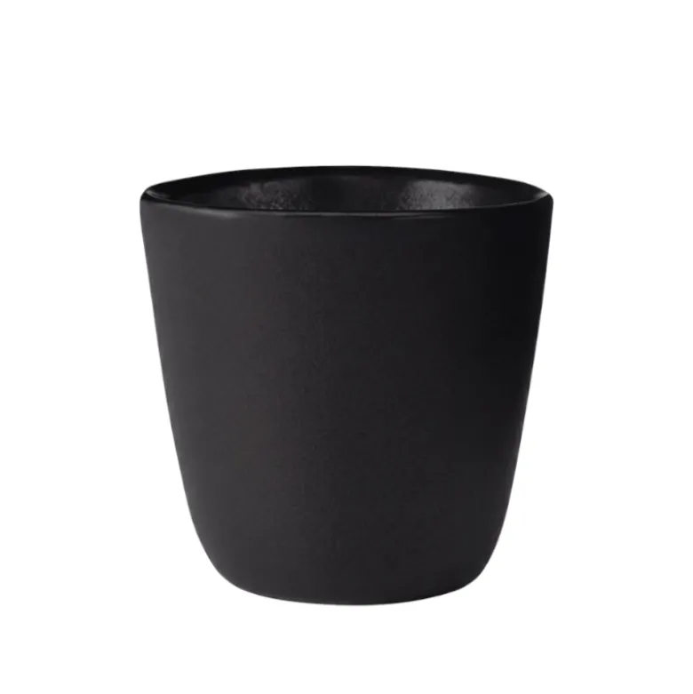 Aida RAW Titanium Black krus 30 cl