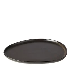 Aida RAW Titanium Black Organic middagstallerken 29 cm