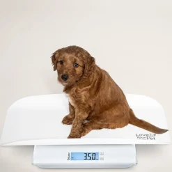 Beurer PetCare PP 170 Polly vægt til kæledyr hvid