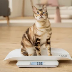 Beurer PetCare PP 170 Polly vægt til kæledyr hvid