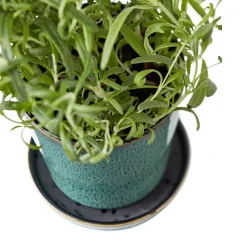Bitz urtepotteskjuler forest green 10,5 cm