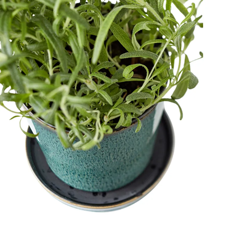 Bitz urtepotteskjuler forest green 10,5 cm