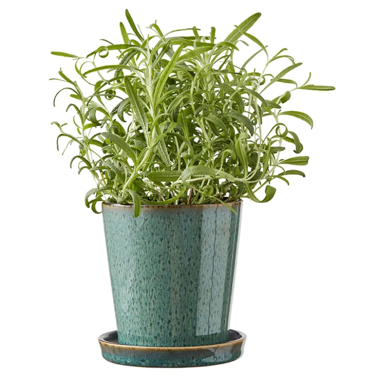 Bitz urtepotteskjuler forest green 10,5 cm