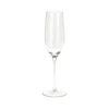 Champagne glas 210 ml 4 stk.
