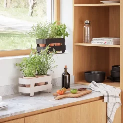 Eva Solo selvvandende herb organiser stål sort