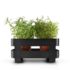 Eva Solo selvvandende herb organiser stål sort
