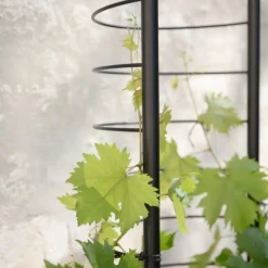 Eva Solo Simply Grow espalier sort