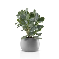 Eva Solo Stone urtepotteskjuler grå 16 cm