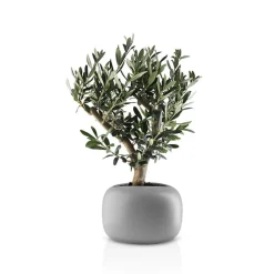 Eva Solo Stone urtepotteskjuler grå 19 cm