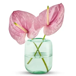 Eva Solo Acorn vase mint green H 16,5 cm