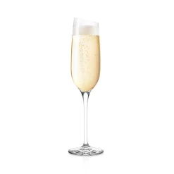 Eva Solo champagneglas 20 cl