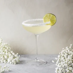 Eva Solo champagneglas coupe 20 cl