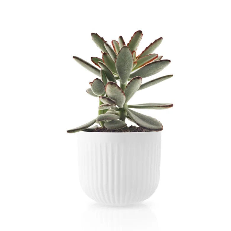 Eva Trio Legio Nova urtepotteskjuler 13 cm
