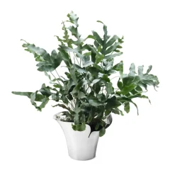 Georg Jensen Bloom Botanica urtepotteskjuler mellem