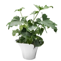 Georg Jensen Bloom Botanica urtepotteskjuler stor