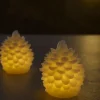 Grankogle LED lys 2 stk.