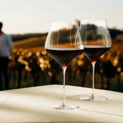 Holmegaard Notes bourgogneglas 2 stk. 95 cl