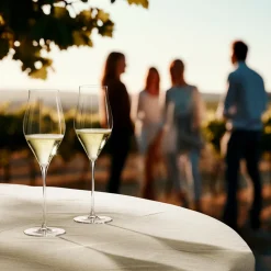 Holmegaard Notes champagneglas 2 stk. 38 cl