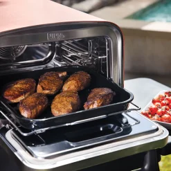 Ninja Woodfire OO101EU udendørs elektrisk grill & røgeovn 2400 watt