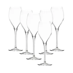 Stölzle Prestige champagneglas 210 ml 6 stk.