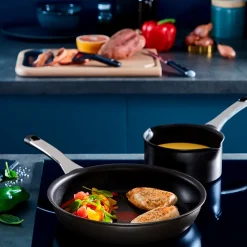 Tefal Excellence stegepande Ø 24 cm
