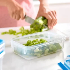 Tefal MasterSeal Fresh opbevaringsboks rektangulær 1 liter
