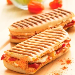 Tefal Snack Collection panini grill