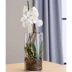 Vase cylinder glas Ø 15 cm H 30 cm